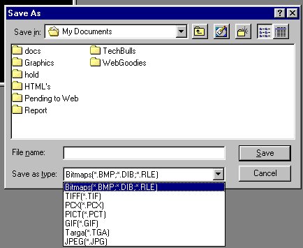 CapSave1.jpg (33803 bytes)