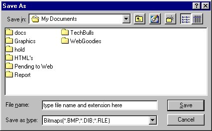 CapSave2.jpg (27129 bytes)